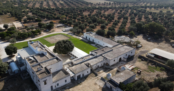 masseria